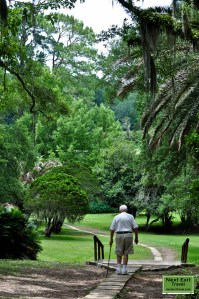 Path to Bird City at Jungle Gardens, Avery Island