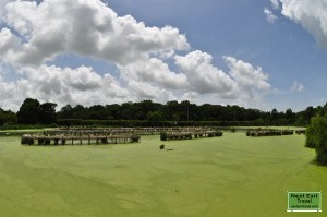 Bird City, Jungle Gardens, Avery Island, LA