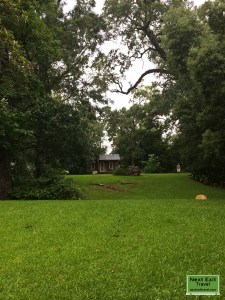 Bayou Teche Guest Cottage