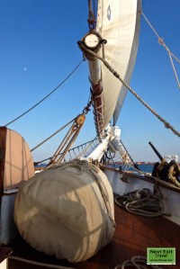 Sailing in Boston Harbor, Liberty Clipper
