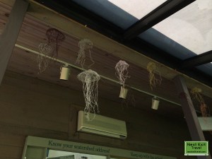 Chesapeake Exploration Center