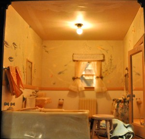 The Nutshell Studies of Unexplained Death