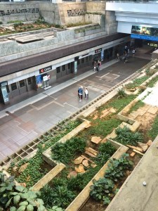 Paging Indiana Jones!