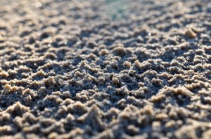 Dunes at Jockey's Ridge State Park