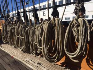 12669902_10207172181577396_766265794_o