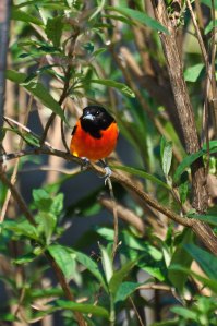 14273100104_f6ce8e4823_b