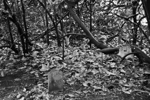 CapeCodApril2016-0297-2