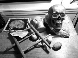 CapeCodApril2016-8426