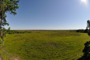 GainesvilleApril2016-0154