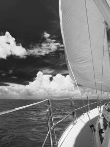 13754342_10157106852945702_8921155845293474025_n